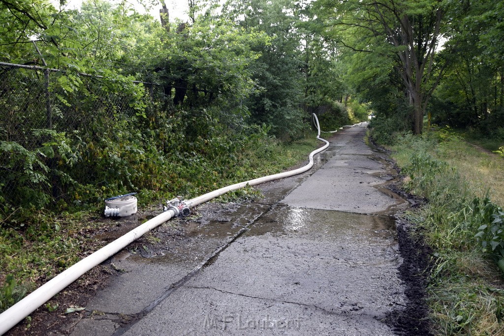 Waldbrand Koeln Hoehenhaus Hoehenfelder Mauspfad P169.JPG - Miklos Laubert